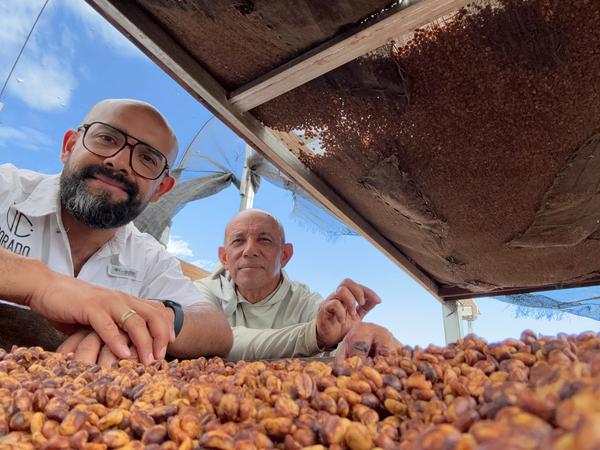 Guatemala - Jose Corado Honey bourbon