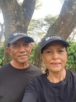 Guatemala - Domi Corado Bærtørket Bourbon
